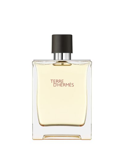Hermes Terre Hermes 100 мл – Тоалетна Вода за Жени ТЕСТЕР